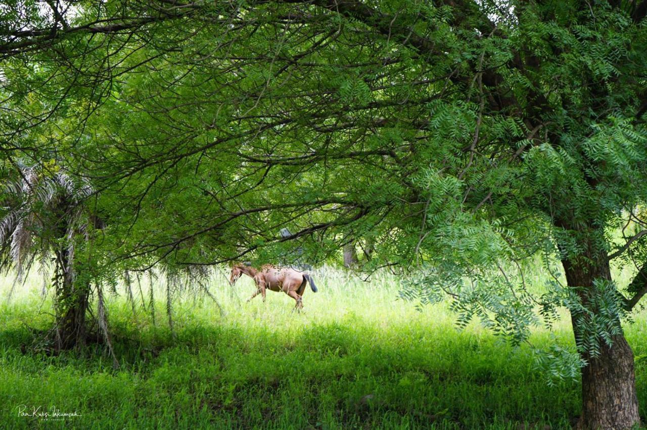 ホテルThe Green Ranch クマシ エクステリア 写真